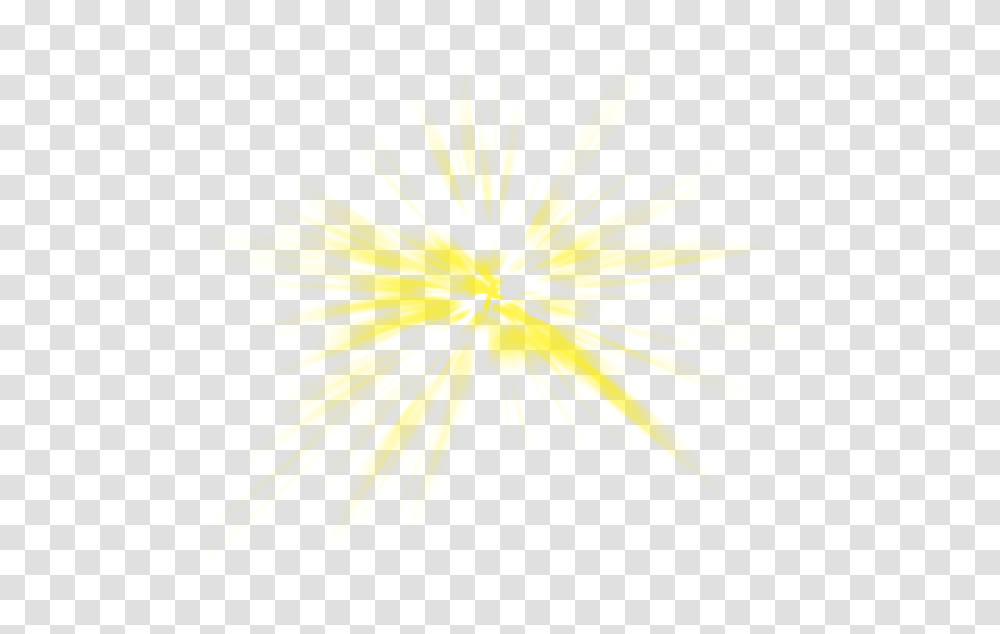 Yellow Light Effect Sunlight Psd Macro Photography, Flower, Plant, Blossom, Nature Transparent Png