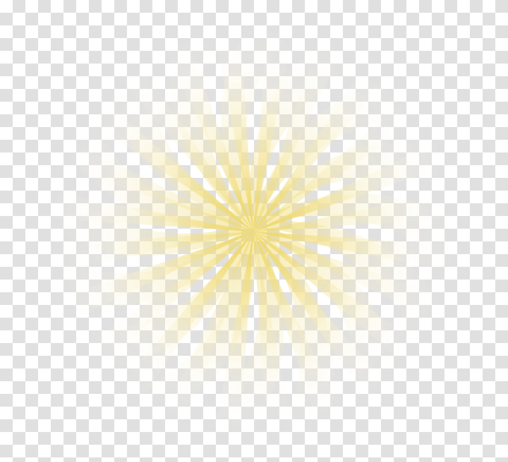 Yellow Light Rays Darkness, Flower, Plant, Blossom, Ornament Transparent Png