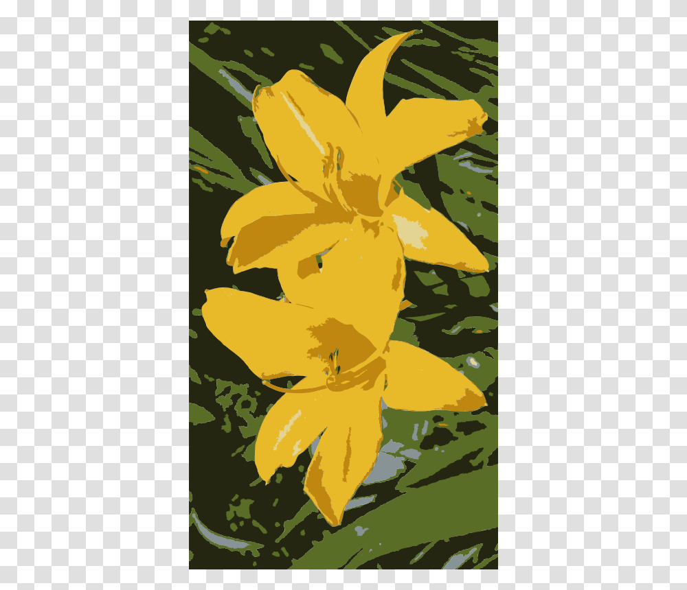 Yellow Lillies, Nature, Leaf, Plant, Flower Transparent Png
