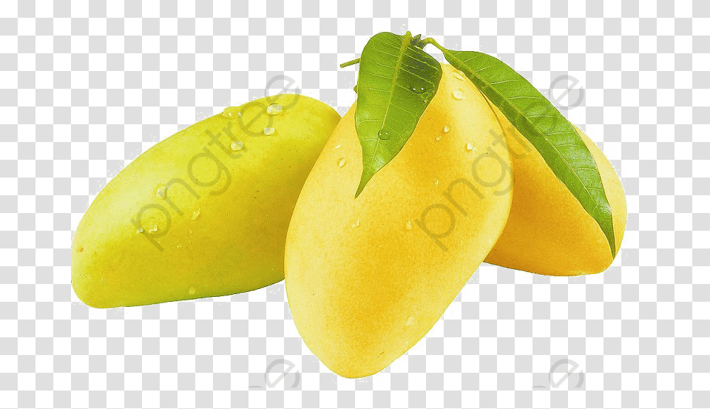 Yellow Mango With Leaf, Plant, Fruit, Food Transparent Png