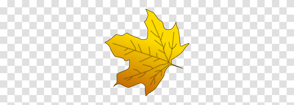 Yellow Maple Leaf Clip Art For Web, Plant, Tree Transparent Png