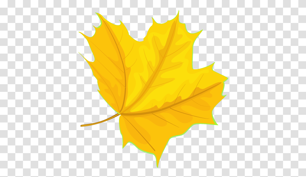 Yellow Maple Leaves, Leaf, Plant, Maple Leaf, Tree Transparent Png