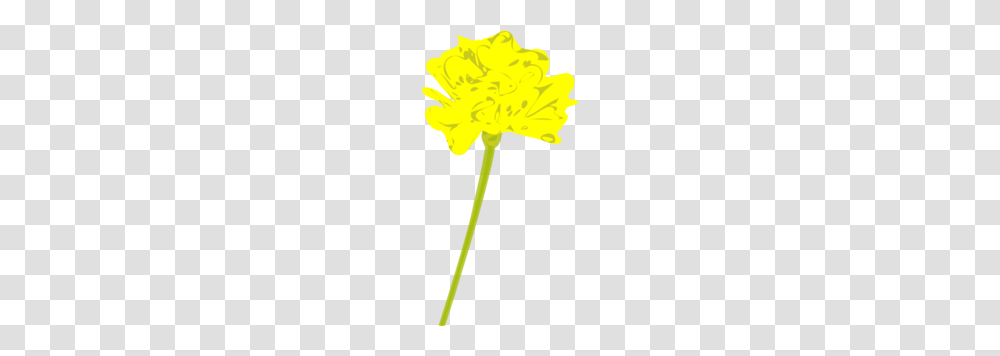 Yellow Marigold Clip Art, Leaf, Plant, Petal, Flower Transparent Png