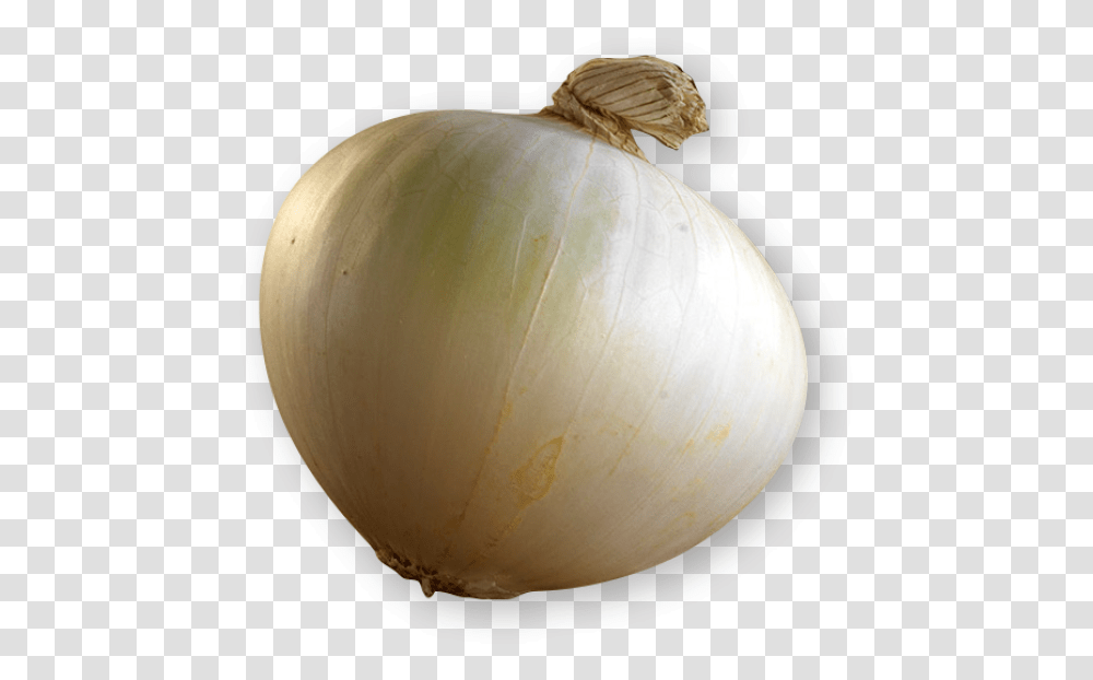 Yellow Onion, Plant, Lamp, Vegetable, Food Transparent Png