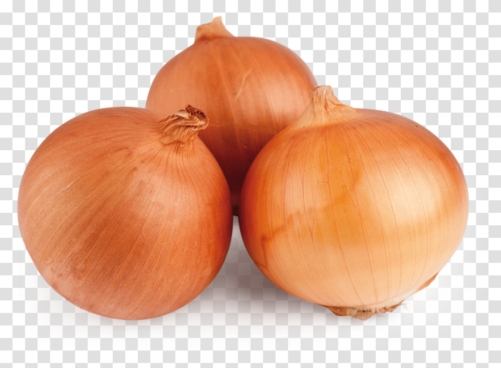 Yellow Onion, Plant, Shallot, Vegetable, Food Transparent Png