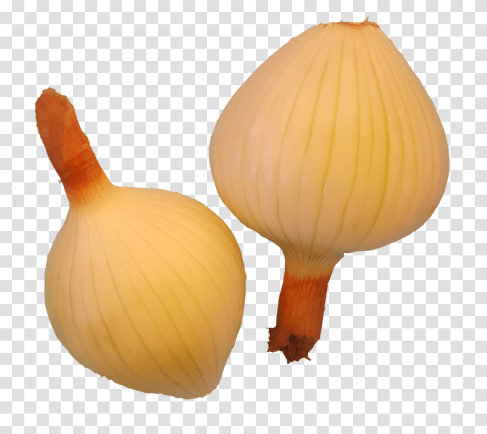 Yellow Onion, Plant, Vegetable, Food, Fungus Transparent Png