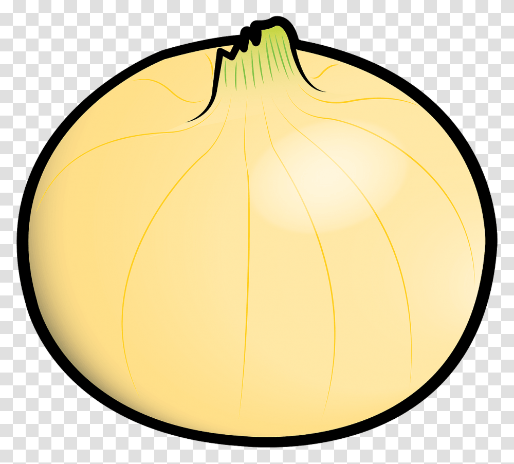 Yellow Onion, Plant, Vegetable, Food, Lamp Transparent Png