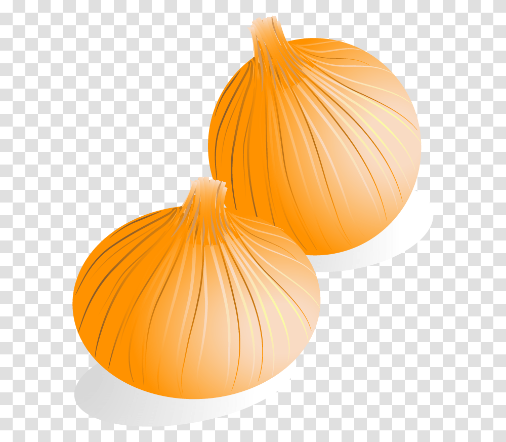 Yellow Onion, Plant, Vegetable, Food, Shallot Transparent Png
