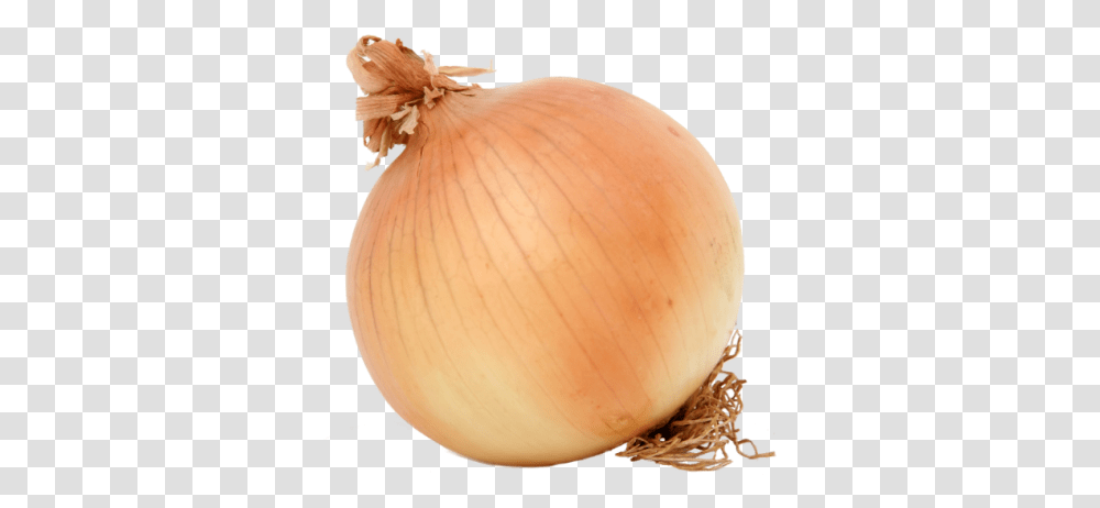 Yellow Onions Color Swatch, Plant, Shallot, Vegetable, Food Transparent Png
