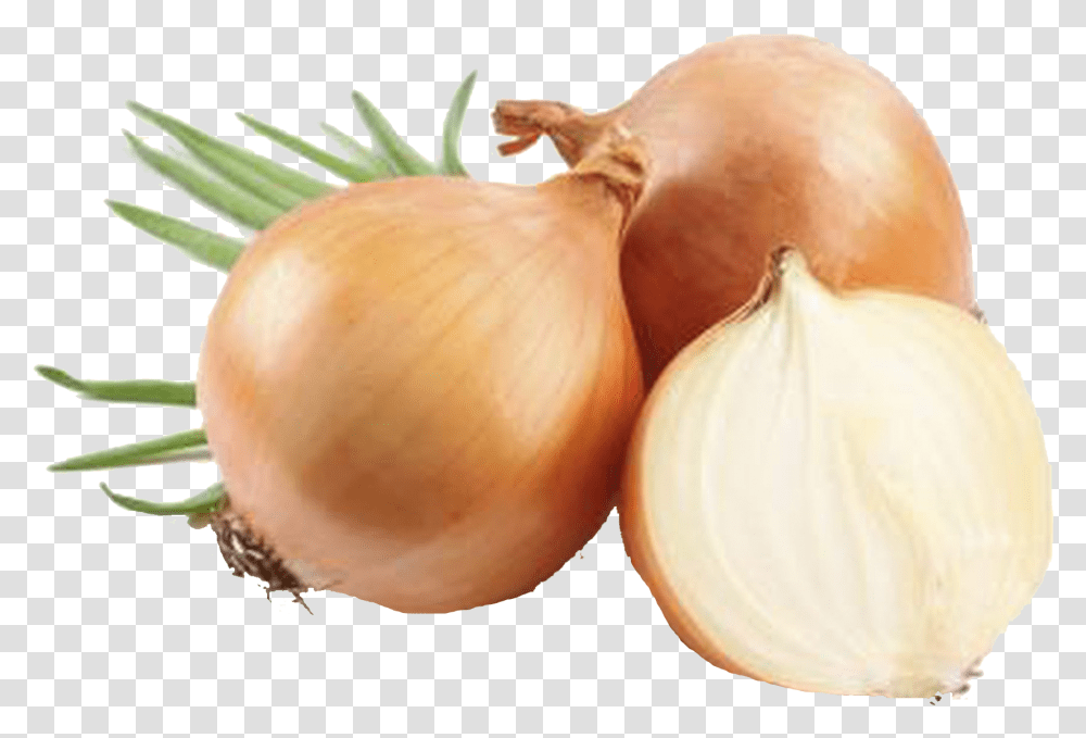 Yellow Onions, Plant, Shallot, Vegetable, Food Transparent Png