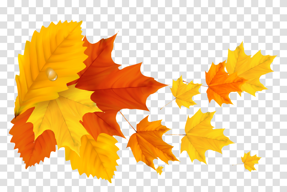 Yellow Orange Fall Leafs Clipart Picture Yellow Maple Leaf, Plant, Tree Transparent Png