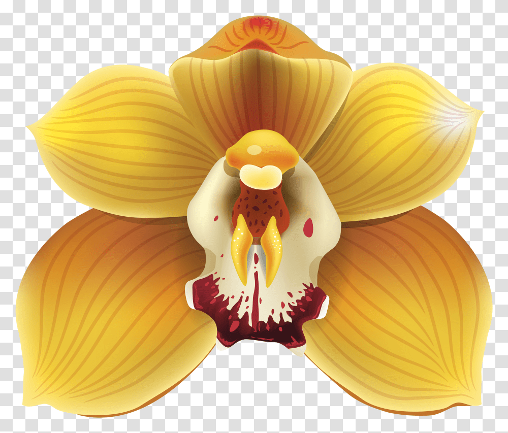 Yellow Orchid Clipart Yellow Orchids, Plant, Flower, Blossom, Fungus Transparent Png