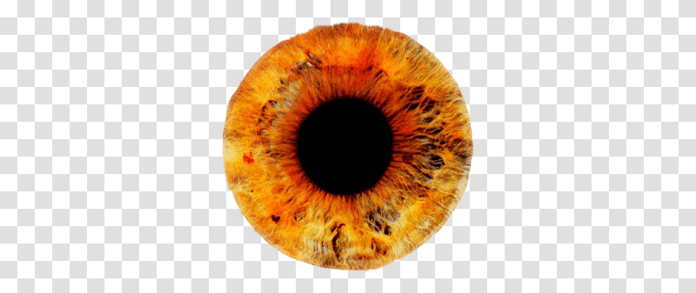 Yellow Red Orange Eye Lens Contactlens Honey Fire Sun Ice Fire Eye Lens, Fungus, Photography, Outdoors, Nature Transparent Png