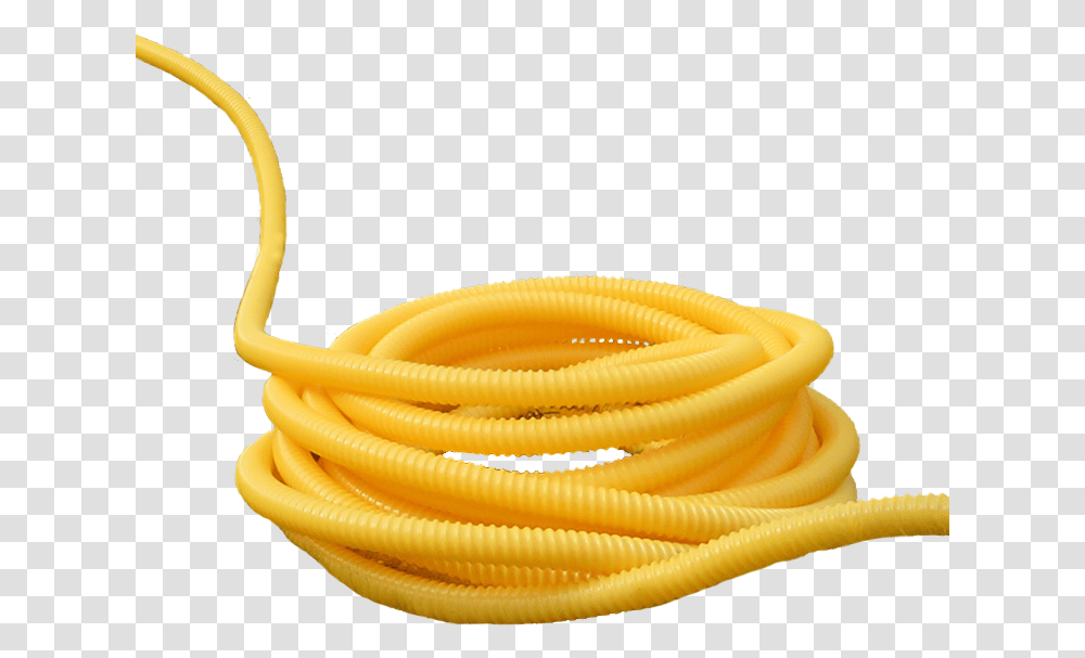 Yellow Rope Lengths, Hose, Snake, Reptile, Animal Transparent Png