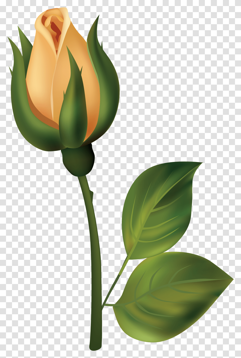 Yellow Rose Bud Clipart Flower Bud Clipart, Plant, Blossom, Leaf Transparent Png
