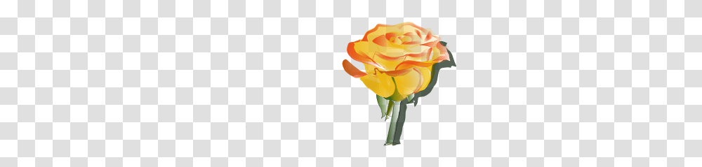 Yellow Rose Clip Art, Flower, Plant, Blossom, Petal Transparent Png