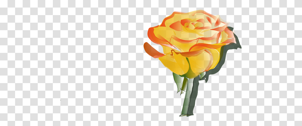 Yellow Rose Clip Art, Flower, Plant, Blossom Transparent Png