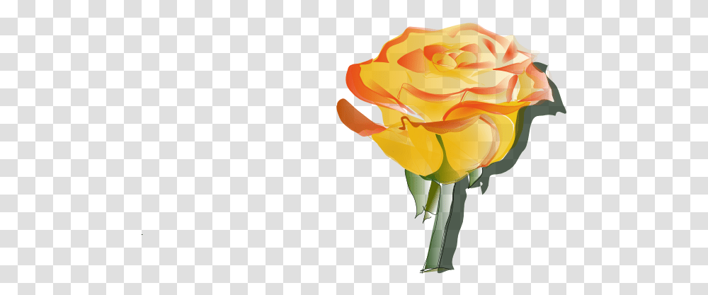 Yellow Rose Clip Art For Web, Flower, Plant, Blossom Transparent Png