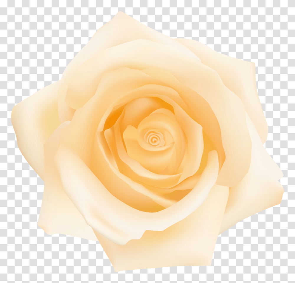 Yellow Rose Clip Transparent Png