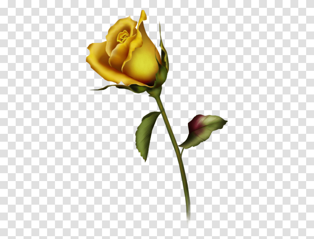 Yellow Rose Clipart, Flower, Plant, Blossom Transparent Png