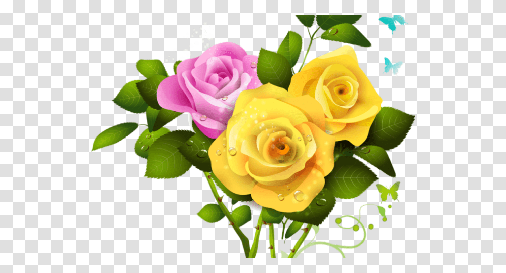 Yellow Rose Clipart Pink Rose And Yellow Rose, Flower, Plant, Blossom Transparent Png