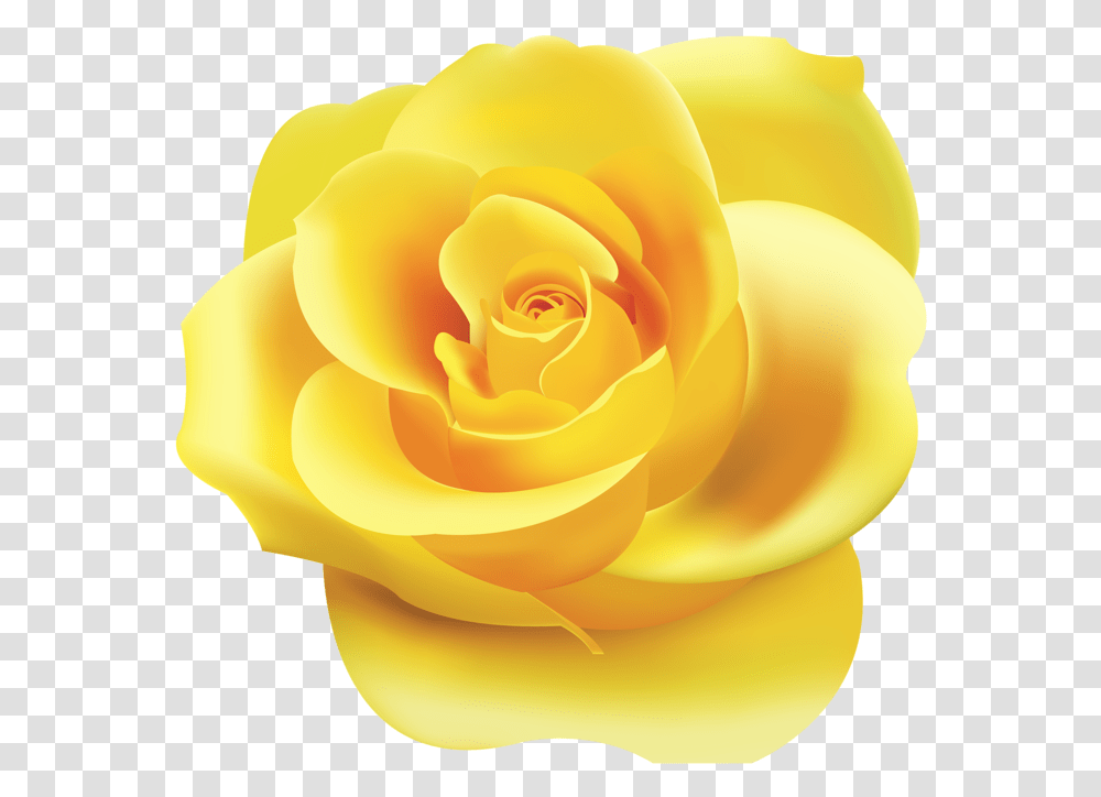 Yellow Rose Clipart Yellow Color Rose Flower Clip Art, Plant, Blossom, Petal, Dahlia Transparent Png