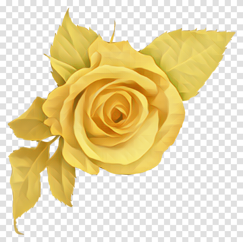 Yellow Rose Flower Yellowrose Sticker By Marras Most Beautiful Flowers Roses, Plant, Blossom, Petal, Gold Transparent Png