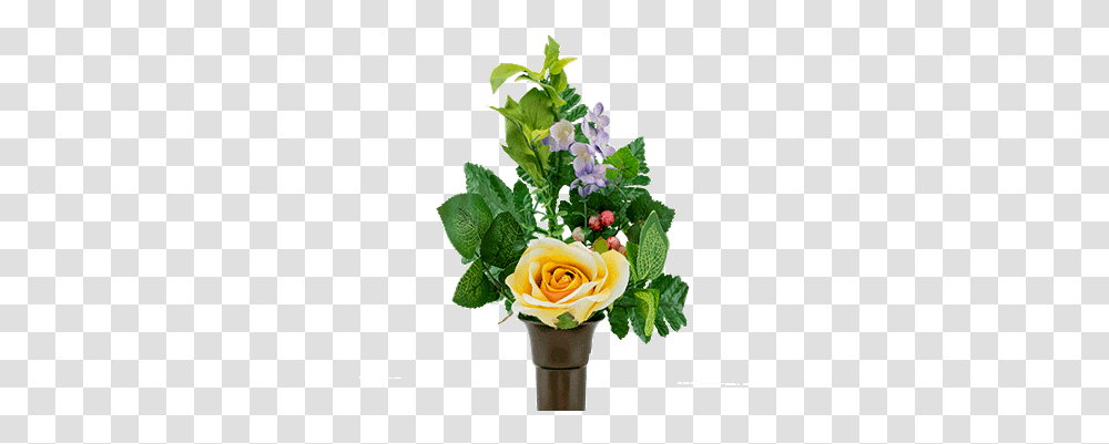 Yellow Rose Garden Roses, Plant, Flower, Blossom, Flower Arrangement Transparent Png