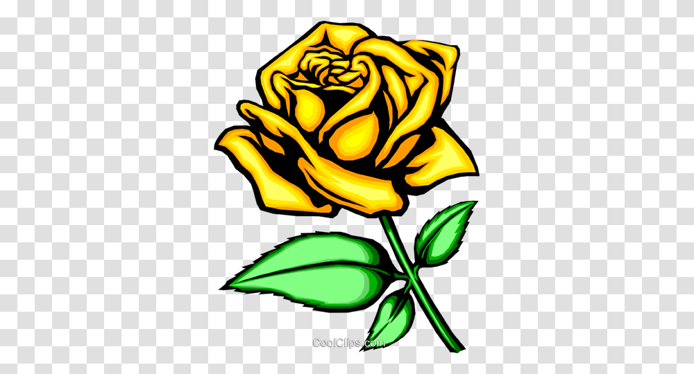 Yellow Rose Royalty Free Vector Clip Art Illustration, Plant, Flower, Blossom Transparent Png