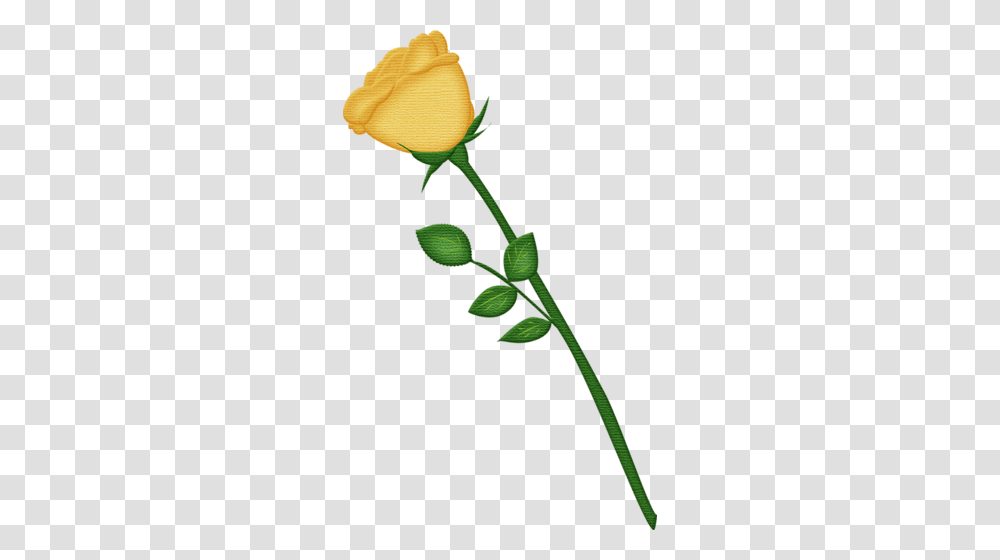 Yellow Rose Scrapbook Flowers Leaves Trees My, Plant, Blossom, Acanthaceae, Petal Transparent Png