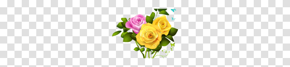 Yellow Rose Vector Clipart, Plant, Flower, Blossom, Flower Bouquet Transparent Png