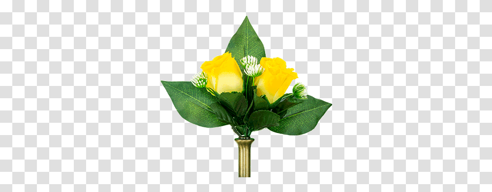 Yellow Roses Bd2304 Garden Roses, Plant, Flower, Blossom, Flower Arrangement Transparent Png