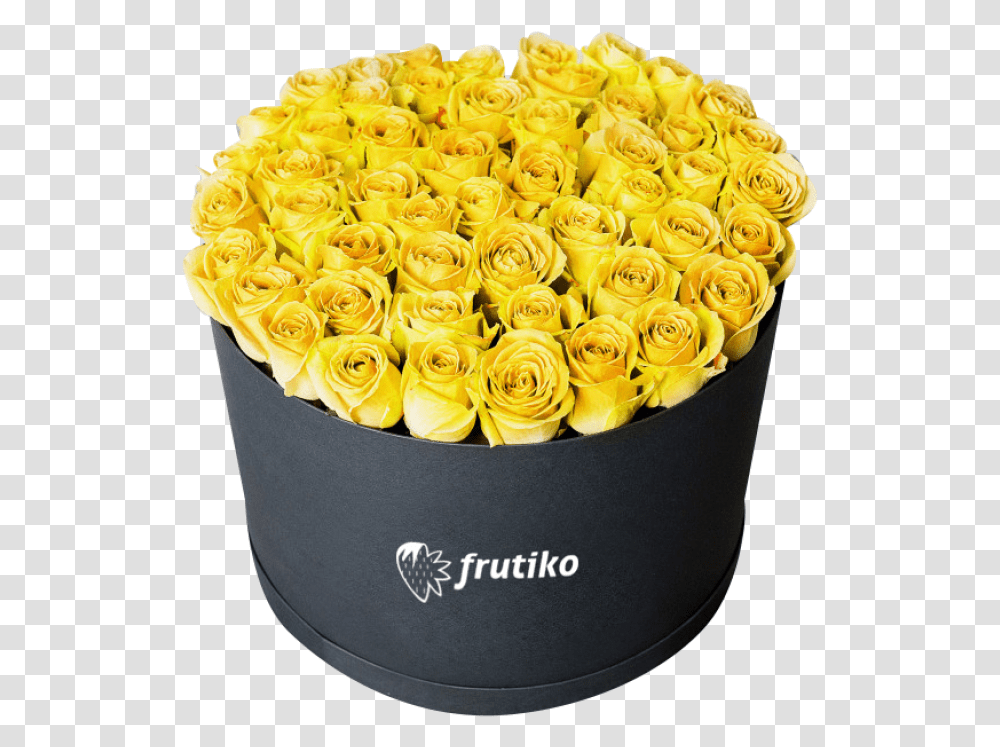 Yellow Roses Black Box Buket Rose, Plant, Floral Design Transparent Png