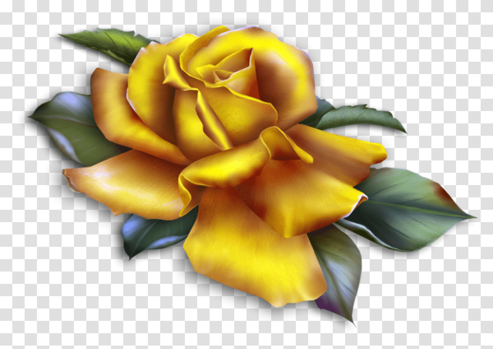 Yellow Roses Clip Art Free New Beautiful Rose, Plant, Flower, Blossom, Petal Transparent Png