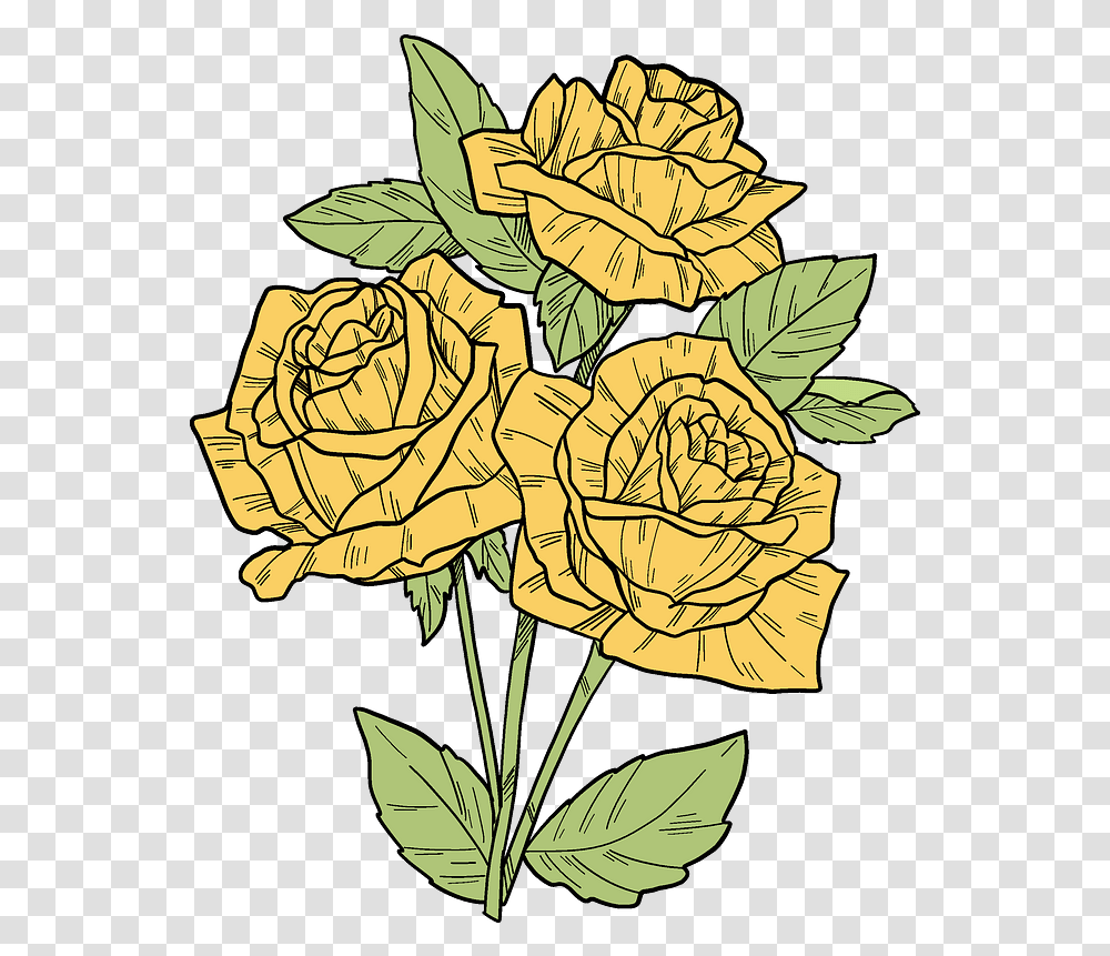 Yellow Roses Clipart Garden Roses, Plant, Flower, Blossom, Floral Design Transparent Png