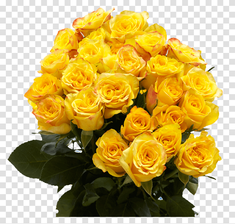 Yellow Roses Fresh Flower Bouquets, Plant, Blossom, Flower Arrangement Transparent Png