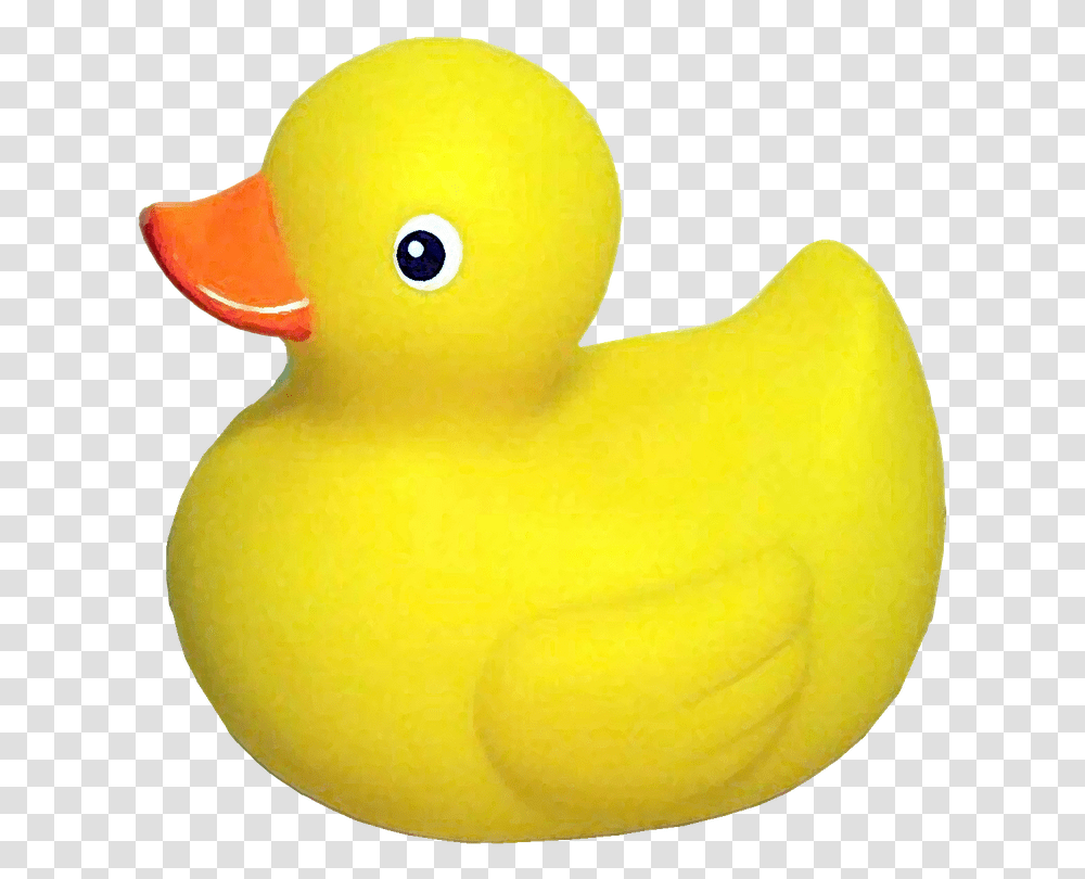 Yellow Rubbe Duck Rubber Duck Icon Slack, Tennis Ball, Sport, Sports, Bird Transparent Png