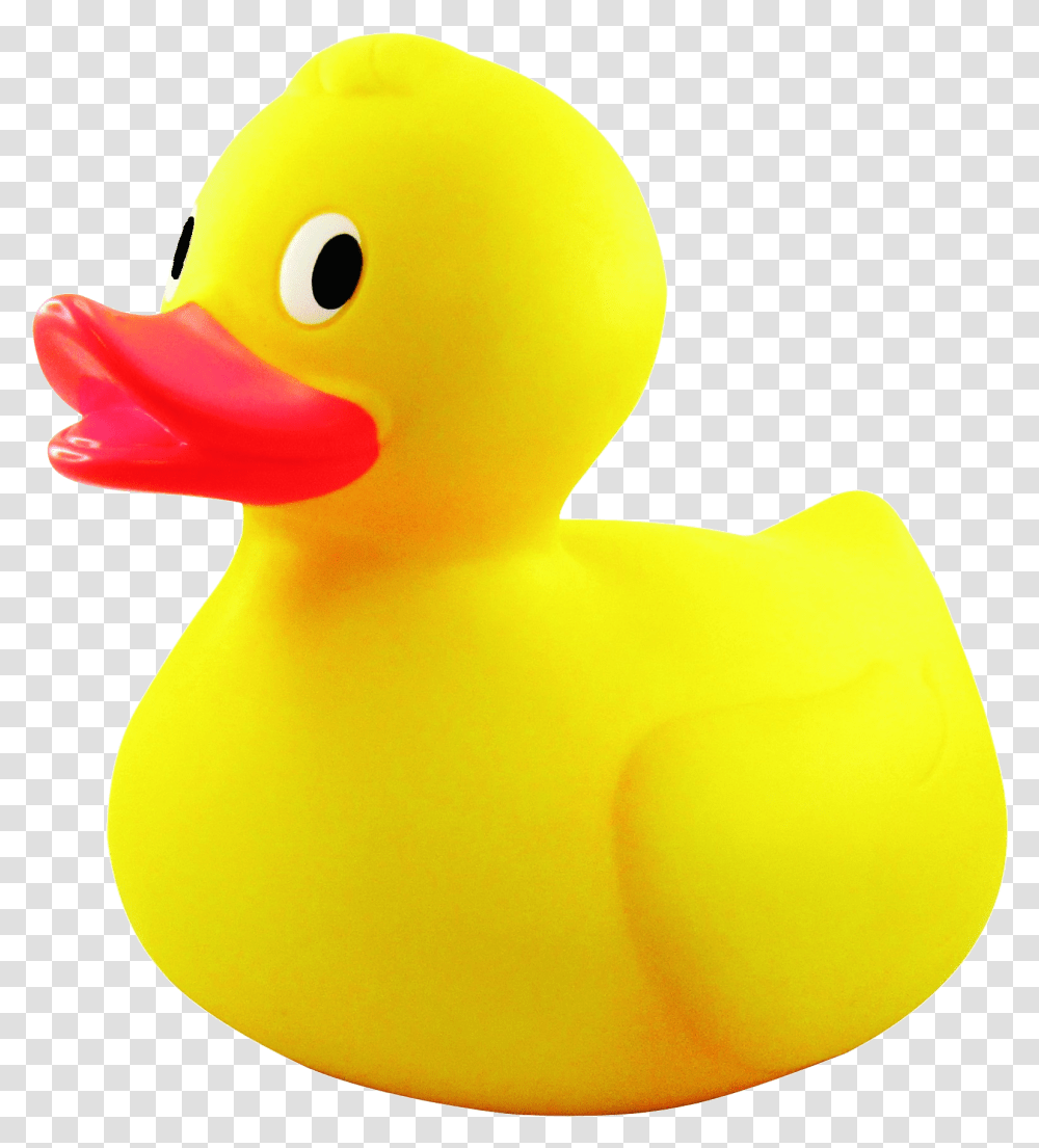 Yellow Rubber Duck, Bird, Animal, Waterfowl, Toy Transparent Png