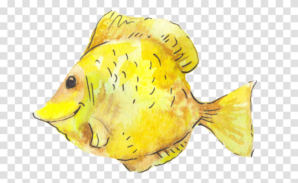Yellow Small Fish, Animal, Angelfish, Sea Life, Rock Beauty Transparent Png
