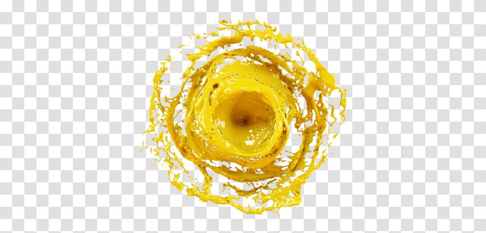 Yellow Splash Circle Art, Fungus, Graphics, Aluminium Transparent Png