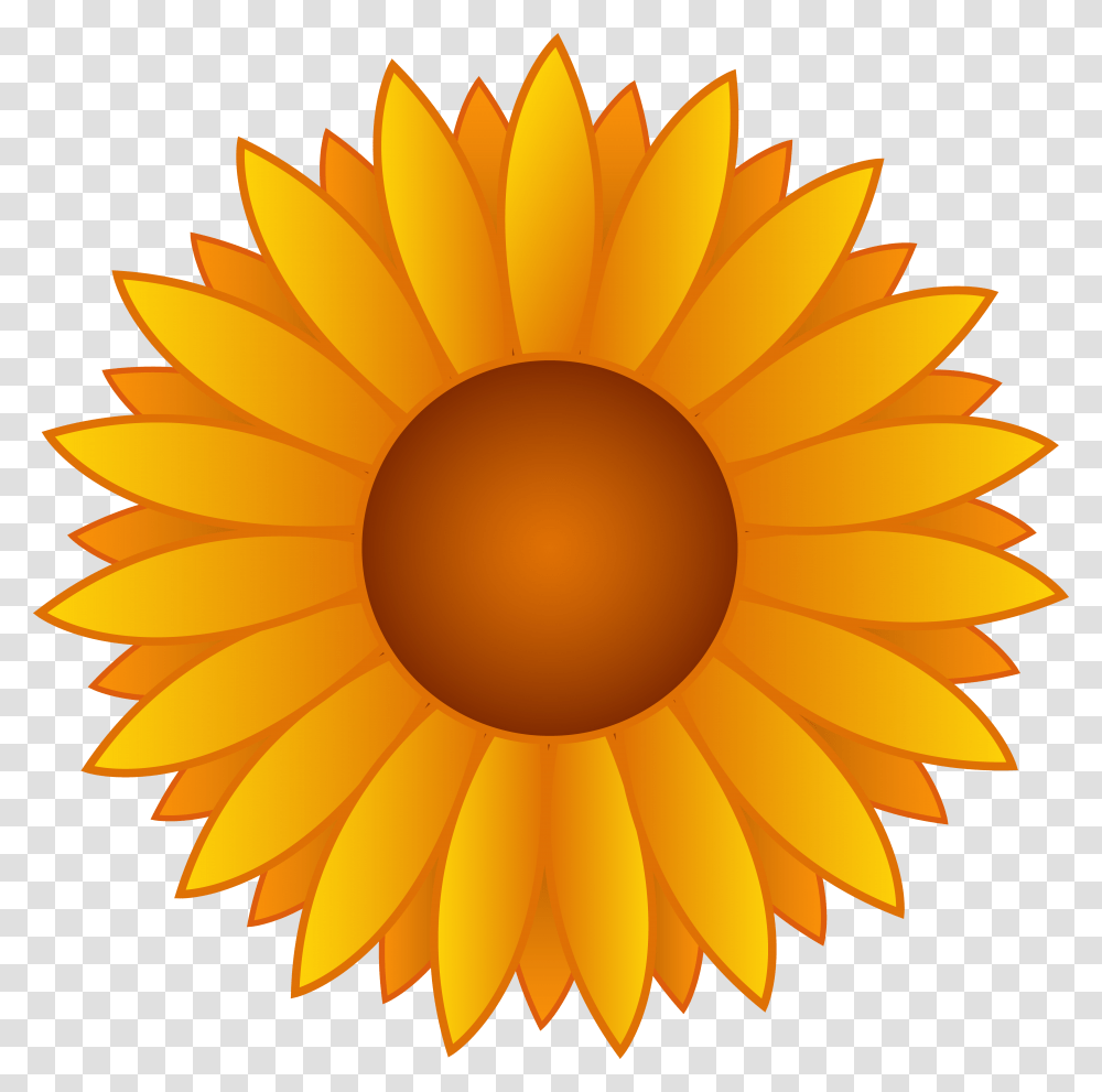 Yellow Sunflower Vector Art, Plant, Blossom, Lamp, Daisy Transparent Png