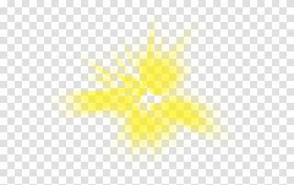Yellow Sunlight Light Effect Light, Leaf, Plant, Honey Bee, Insect Transparent Png
