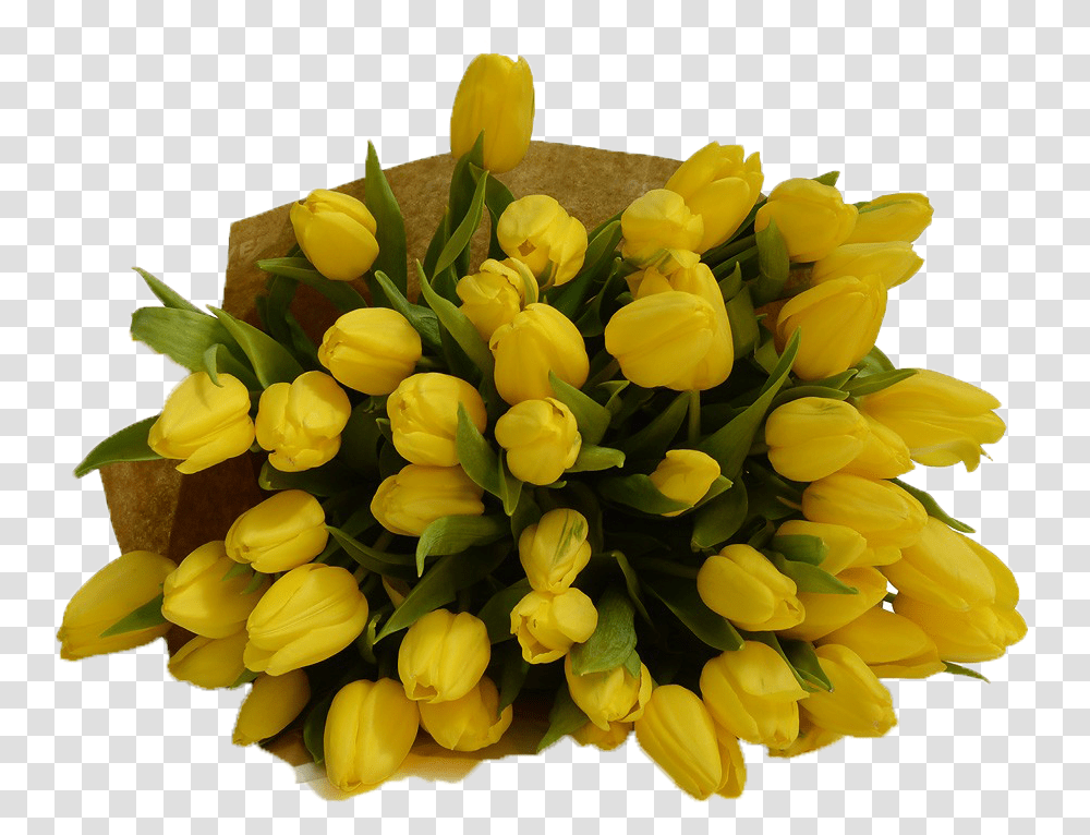 Yellow Tulips Free Download Bouquet, Plant, Flower, Blossom, Flower Bouquet Transparent Png