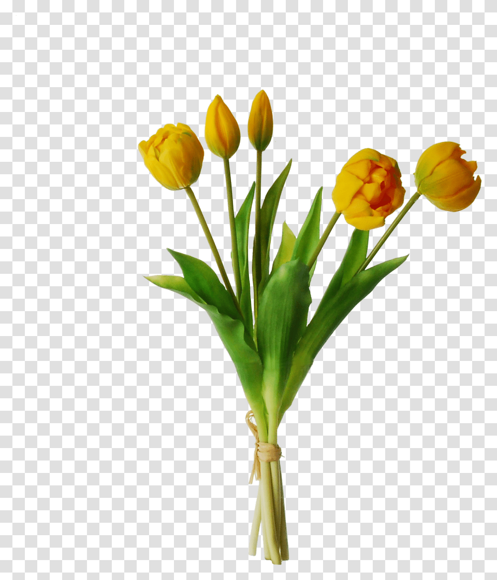 Yellow Tulips Image Tulip, Plant, Flower, Blossom, Flower Arrangement Transparent Png