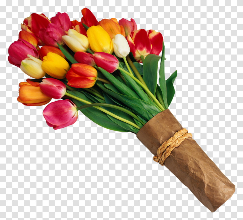 Yellow Tulips Retirement Wishes In Telugu, Plant, Flower, Blossom, Flower Arrangement Transparent Png