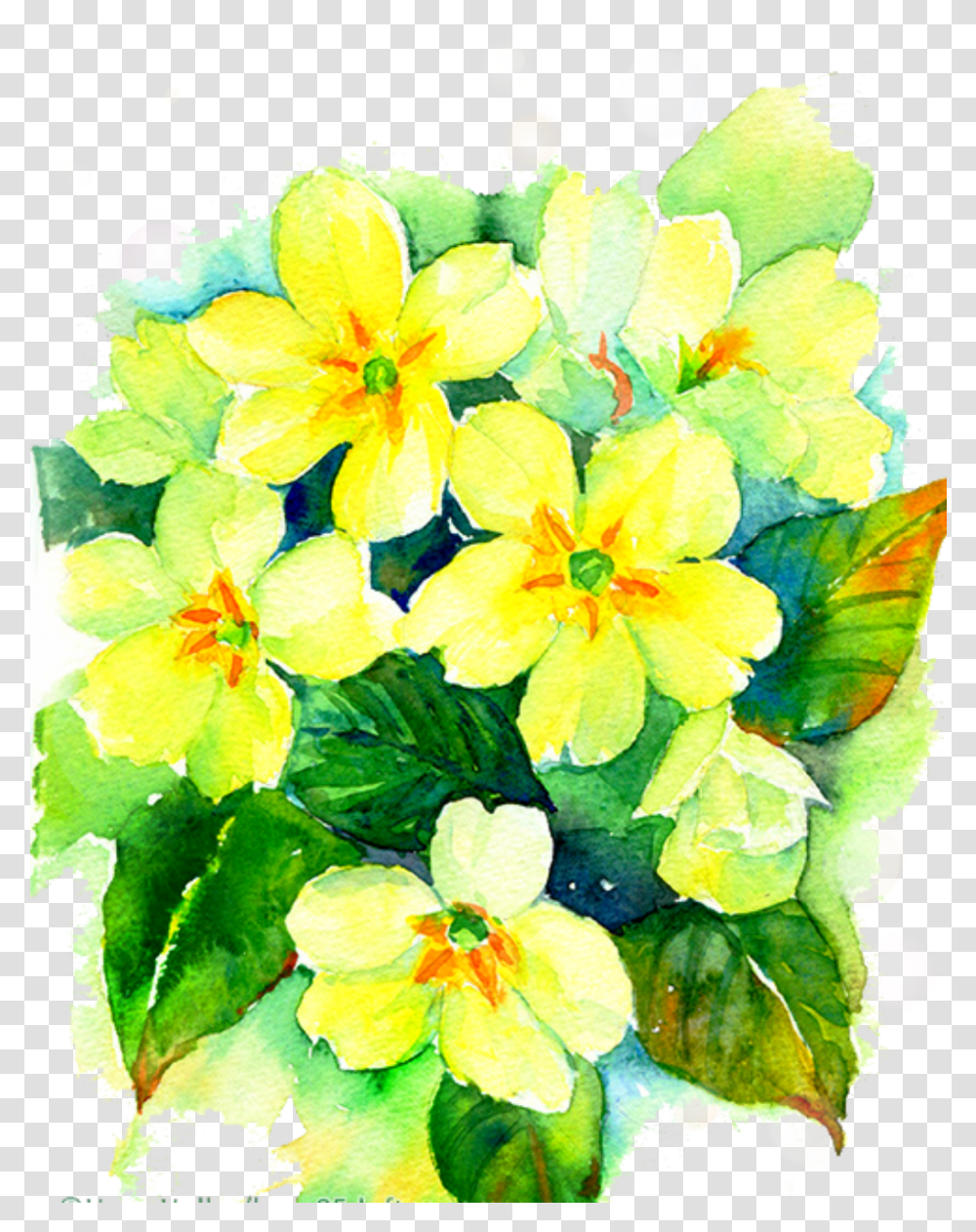 Yellow Watercolor Watercolor Painting, Geranium, Flower, Plant, Petal Transparent Png