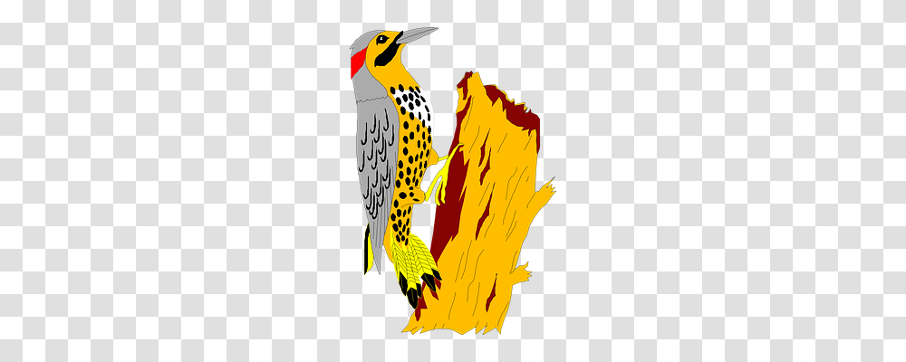 Yellowhammer Animals, Bird, Woodpecker, Flicker Bird Transparent Png