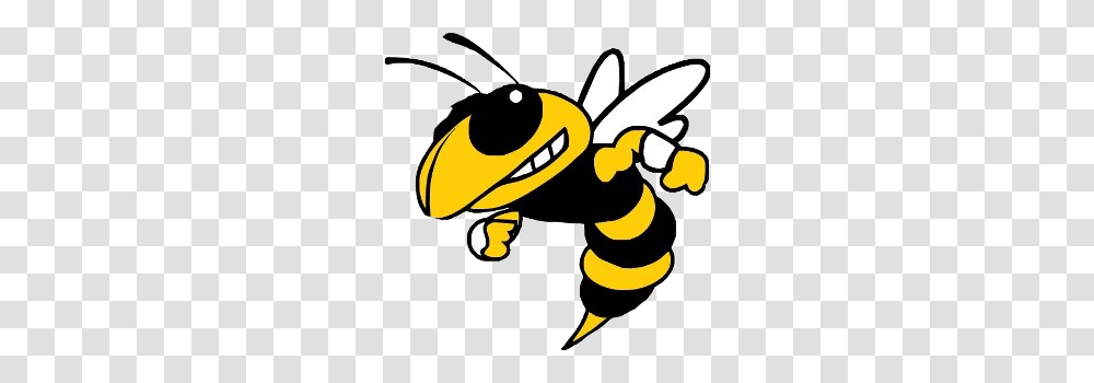Yellowjacket Yellowjackets Mascot Yellow Blackandyellow, Wasp, Bee, Insect, Invertebrate Transparent Png