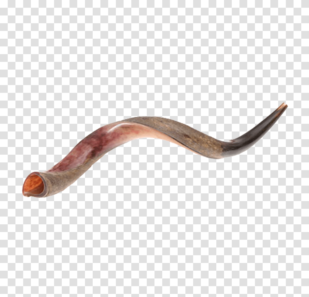Yemenite Shofar, Smoke Pipe, Animal, Eel, Fish Transparent Png