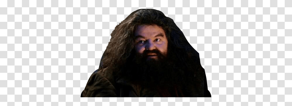 Yer A Wizard Harry Harrypotter Hagrid Hp Freetoedit, Face, Person, Human, Beard Transparent Png